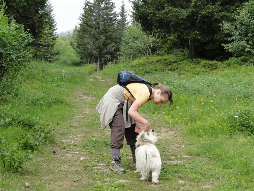 Contact garde animaux 1 - Pays fouesnantais Fouesnant