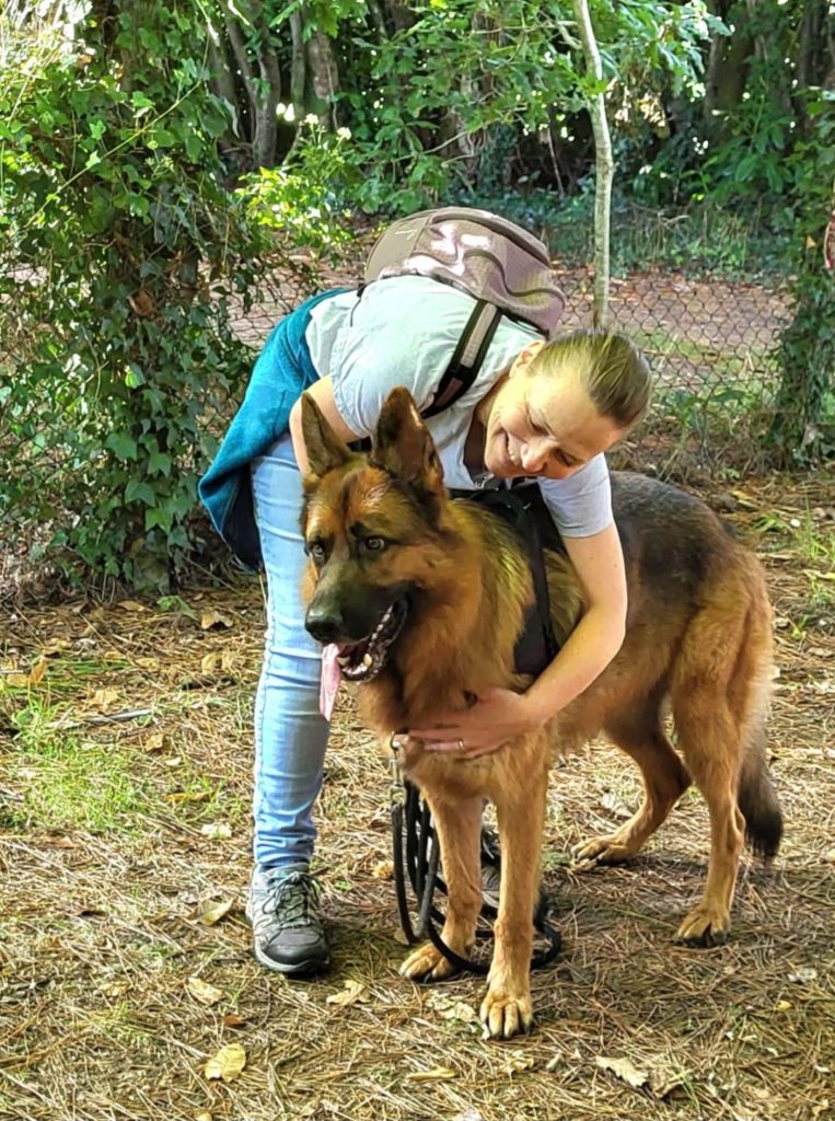 Contact garde animaux - Pays fouesnantais Fouesnant