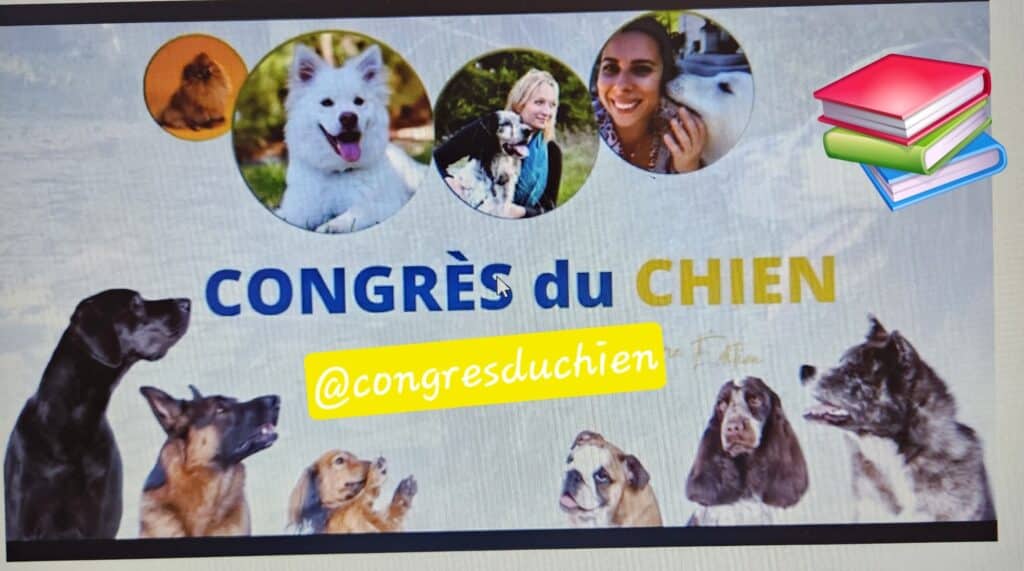 20251113 173800 - Pays fouesnantais Fouesnant