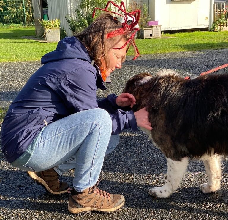 Avec THOR e1763134830835 - Pays fouesnantais Fouesnant Avec THOR e1763134830835 - Pays fouesnantais Fouesnant